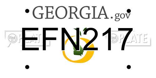 EFN217 Georgia License Plate