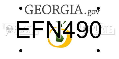 EFN490 Georgia License Plate