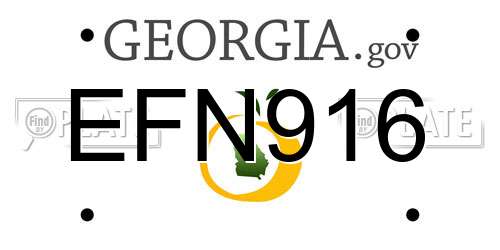EFN916 Georgia License Plate