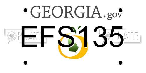 EFS135 Georgia License Plate