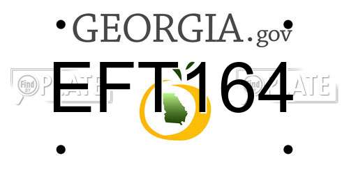 EFT164 Georgia License Plate