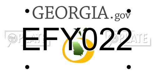 EFY022 Georgia License Plate