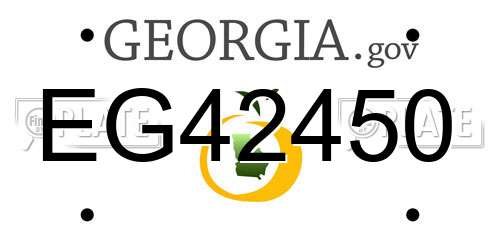 EG42450 Georgia License Plate