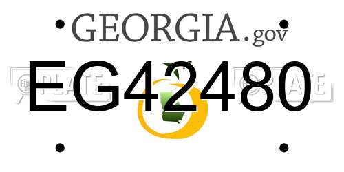 EG42480 Georgia License Plate