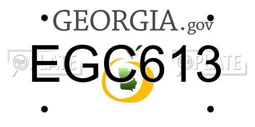 EGC613 Georgia License Plate