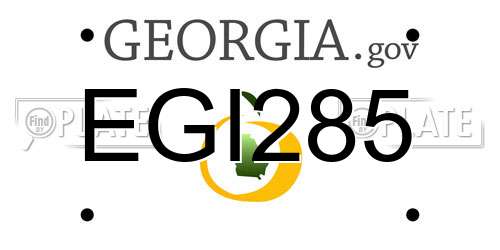 EGI285 Georgia License Plate