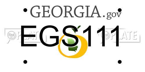 EGS111 Georgia License Plate