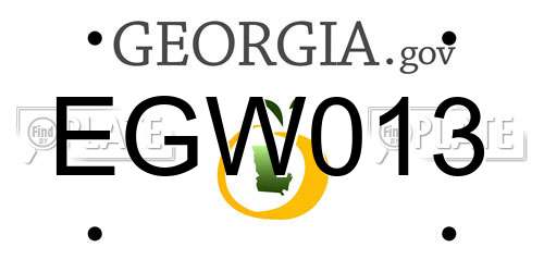 EGW013 Georgia License Plate