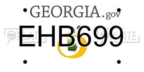 EHB699 Georgia License Plate
