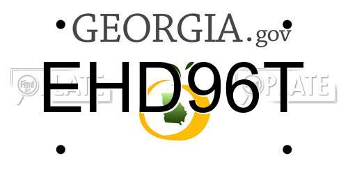 EHD96T Georgia License Plate
