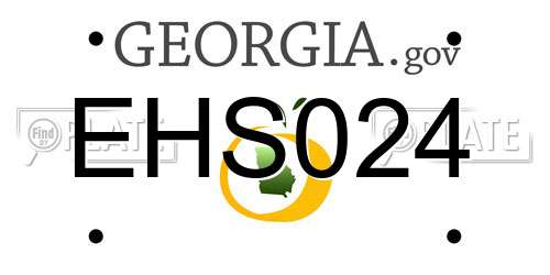 EHS024 Georgia License Plate