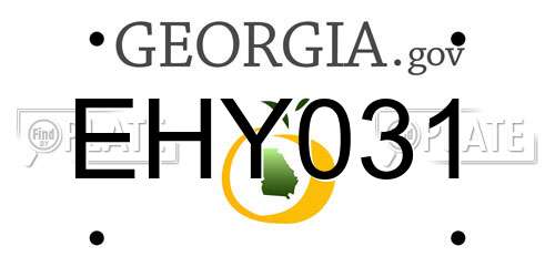 EHY031 Georgia License Plate