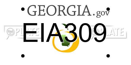 EIA309 Georgia License Plate