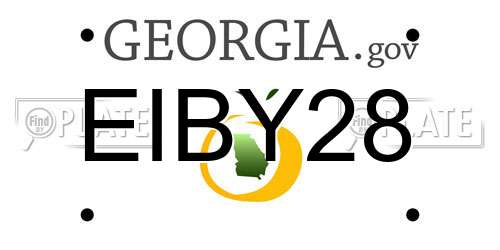 EIBY28 Georgia License Plate