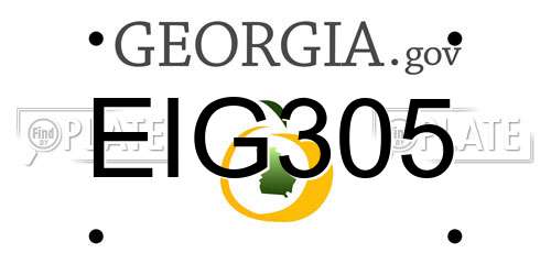 EIG305 Georgia License Plate