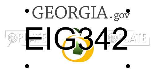 EIG342 Georgia License Plate