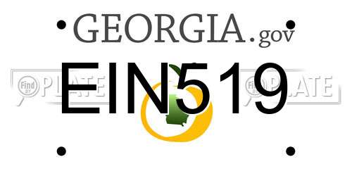 EIN519 Georgia License Plate
