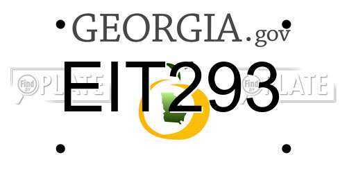 EIT293 Georgia License Plate