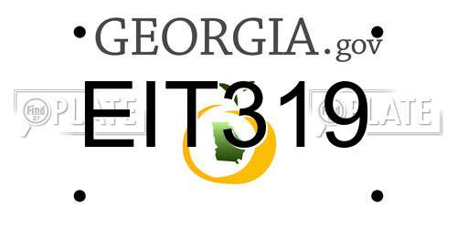 EIT319 Georgia License Plate