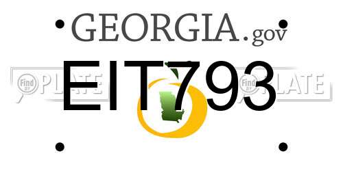 EIT793 Georgia License Plate
