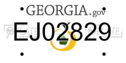 EJ02829 Georgia License Plate