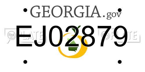 EJ02879 Georgia License Plate