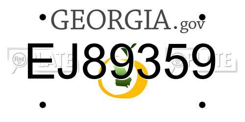 EJ89359 Georgia License Plate