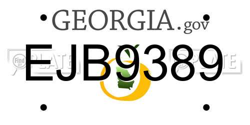 EJB9389 Georgia License Plate