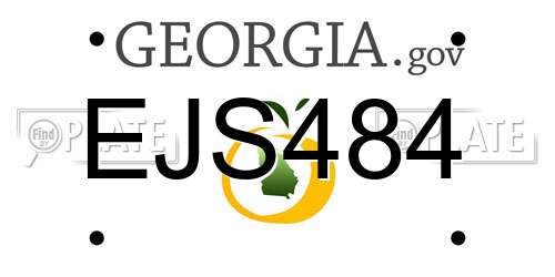 EJS484 Georgia License Plate