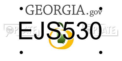 EJS530 Georgia License Plate