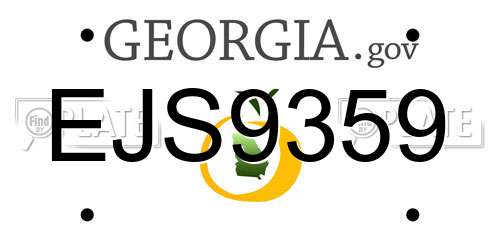 EJS9359 Georgia License Plate