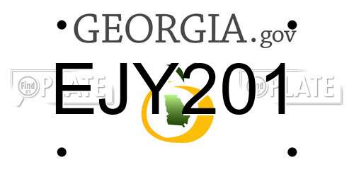 EJY201 Georgia License Plate