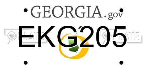 EKG205 Georgia License Plate