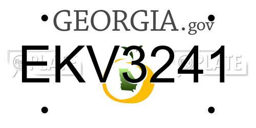 EKV3241 Georgia License Plate