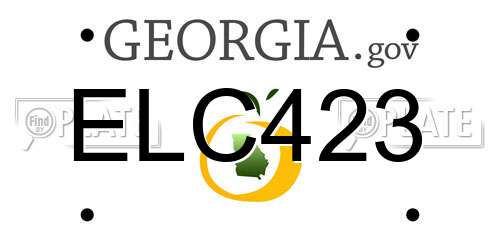 ELC423 Georgia License Plate