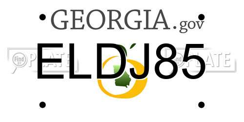 ELDJ85 Georgia License Plate