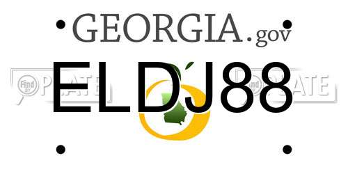 ELDJ88 Georgia License Plate