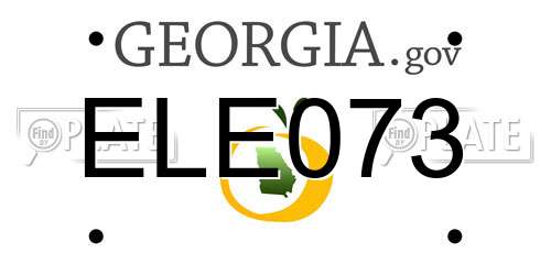 ELE073 Georgia License Plate