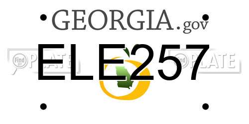 ELE257 Georgia License Plate