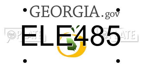 ELE485 Georgia License Plate