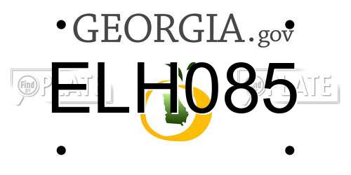 ELH085 Georgia License Plate