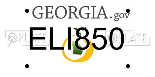 ELI850 Georgia License Plate