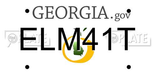 ELM41T Georgia License Plate