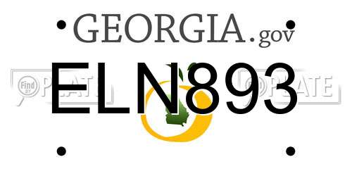 ELN893 Georgia License Plate