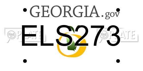 ELS273 Georgia License Plate