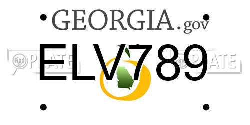 ELV789 Georgia License Plate