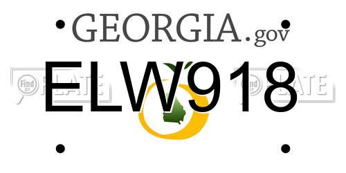 ELW918 Georgia License Plate