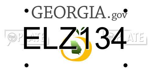 ELZ134 Georgia License Plate