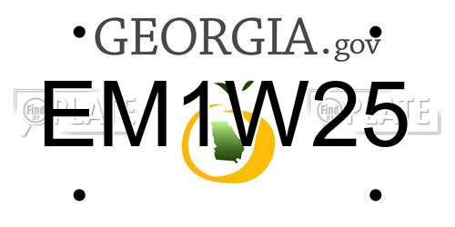 EM1W25 Georgia License Plate