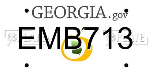 EMB713 Georgia License Plate